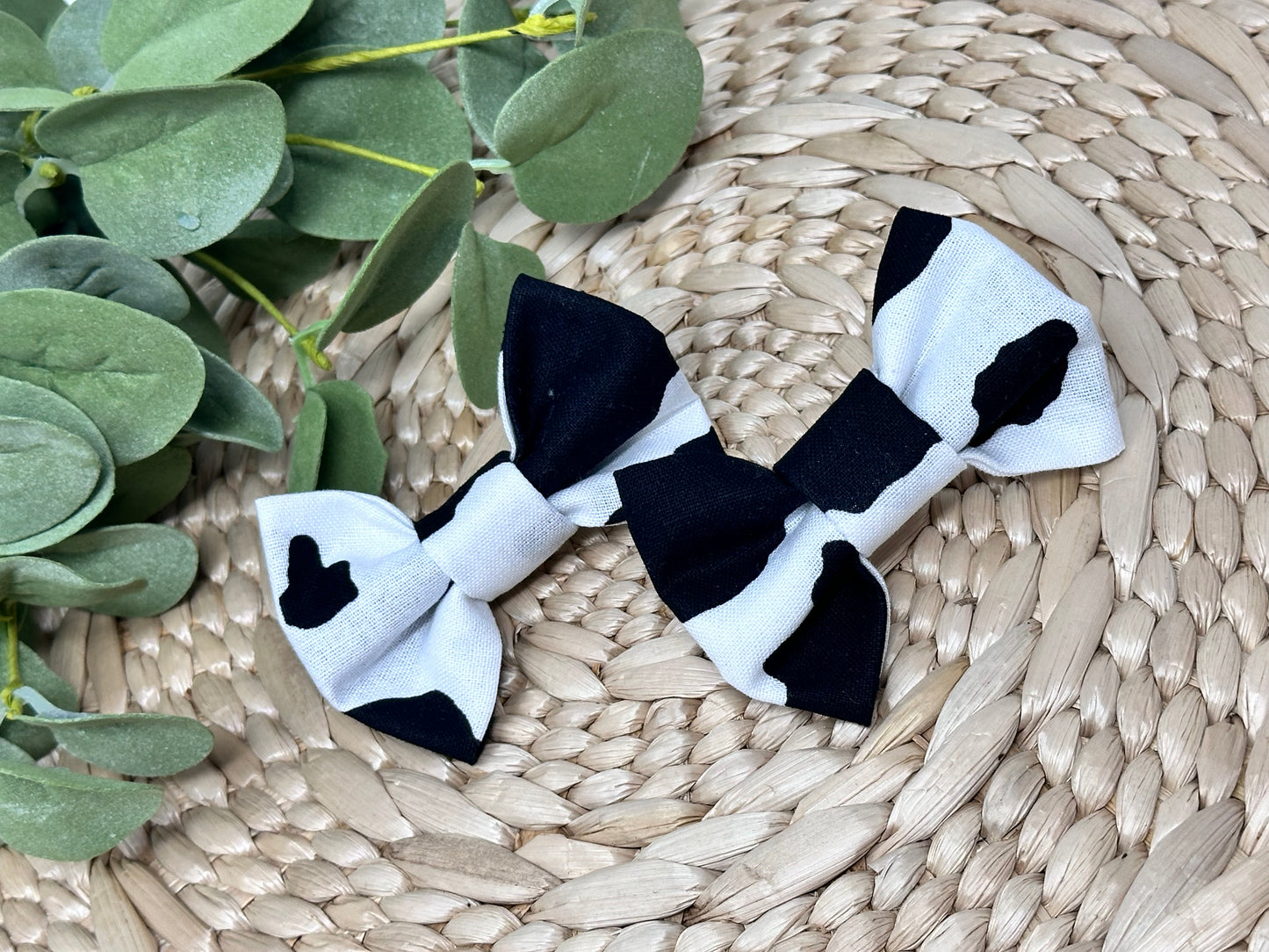 Black Cow