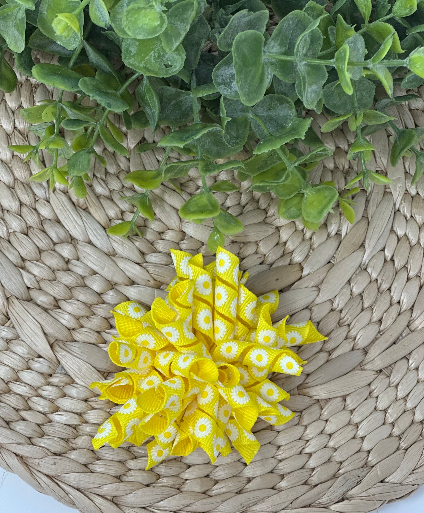 Daisy’s