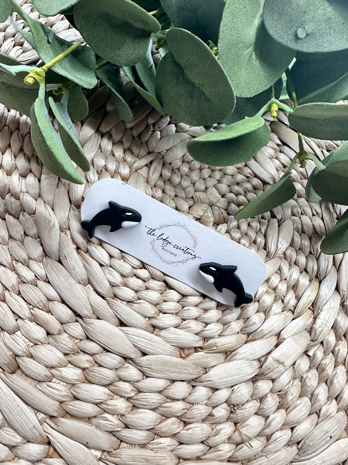 Ocean Life Studs