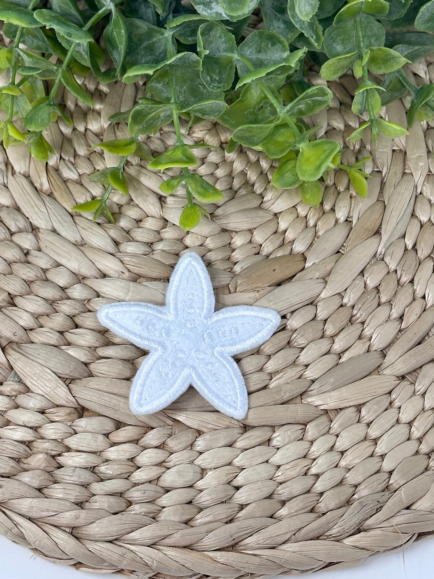 Star Fish