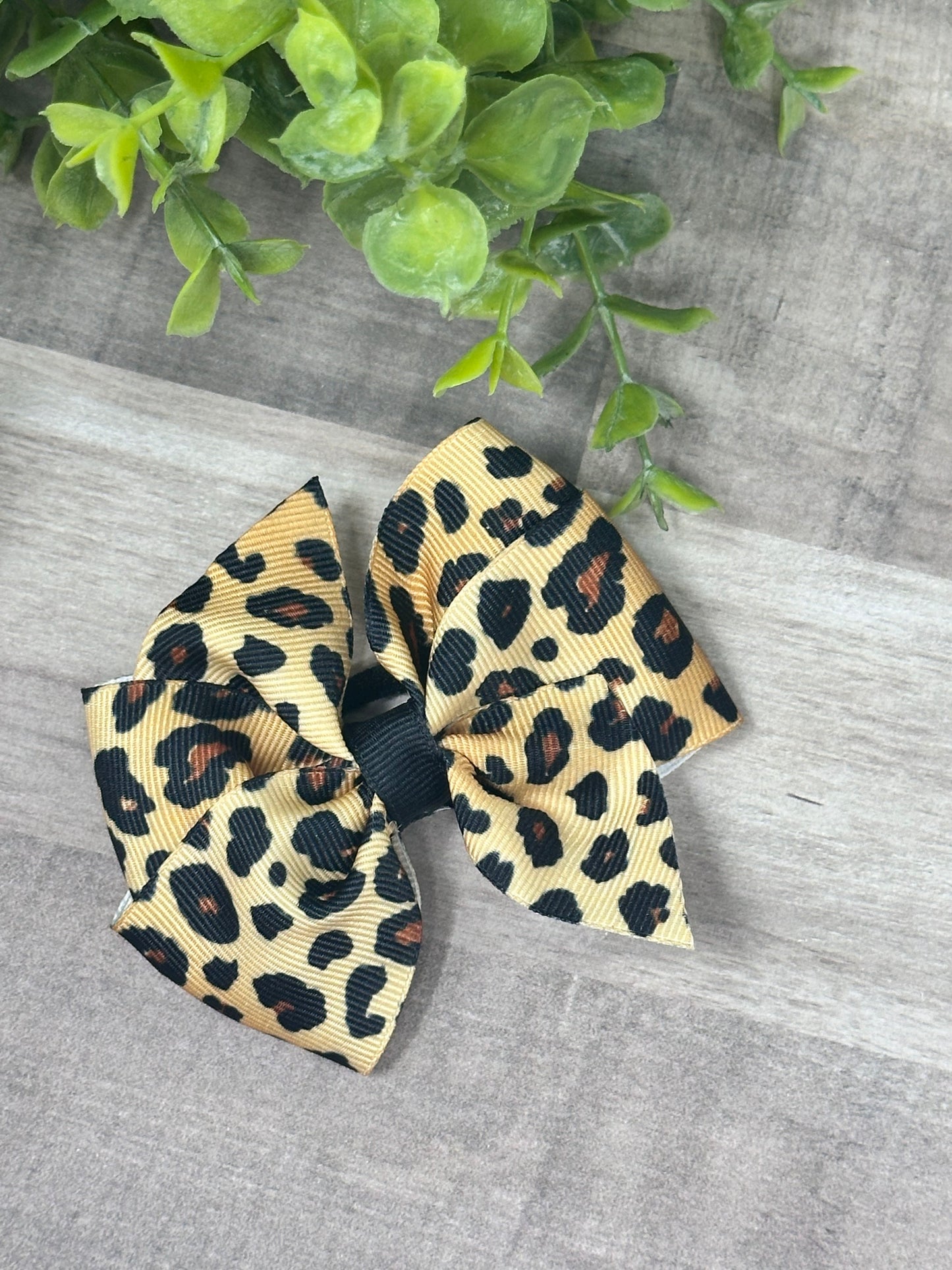 Leopard