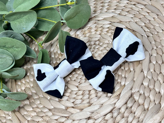 Black Cow