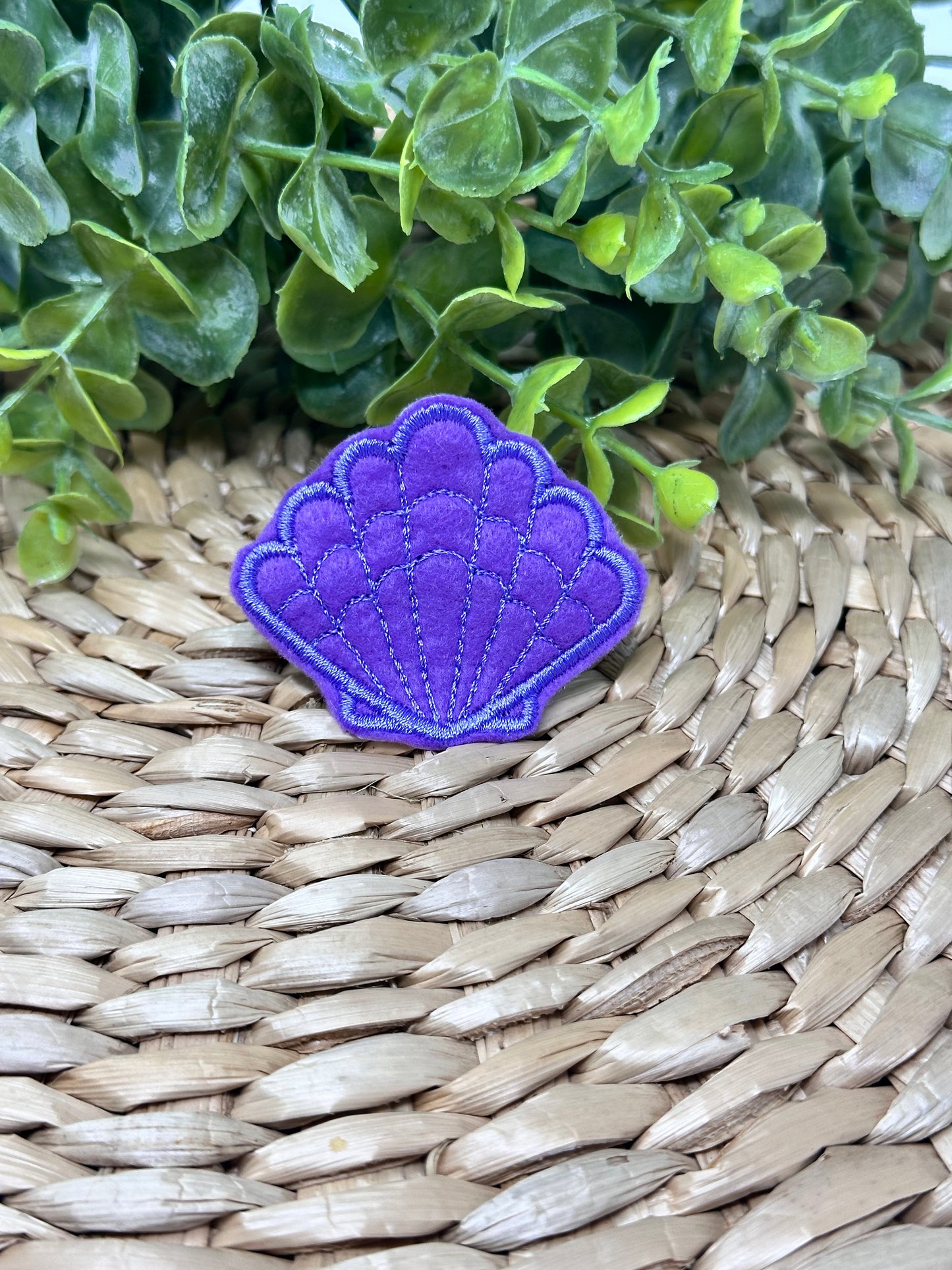 Scallop Shell