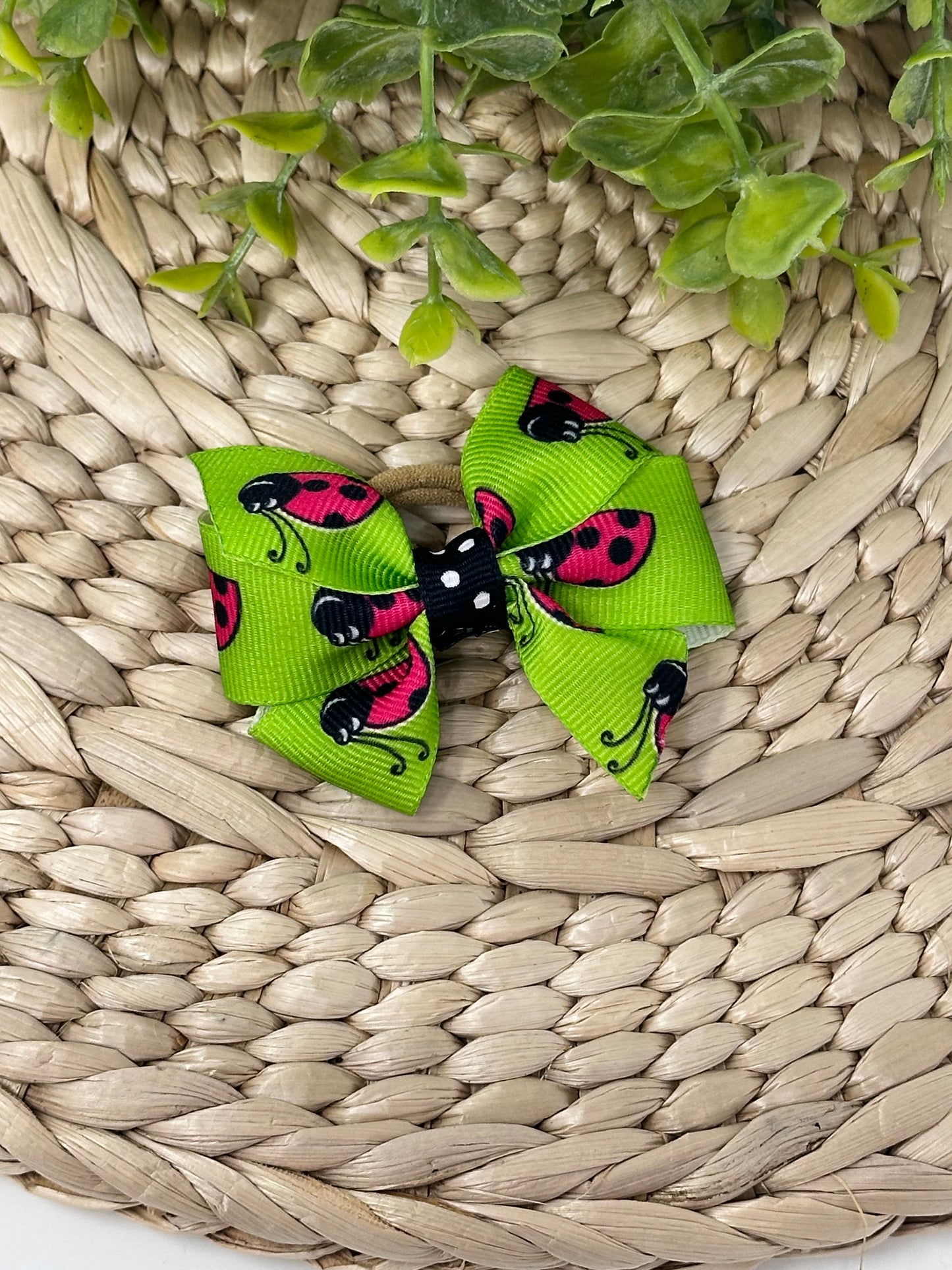 Lady Bugs