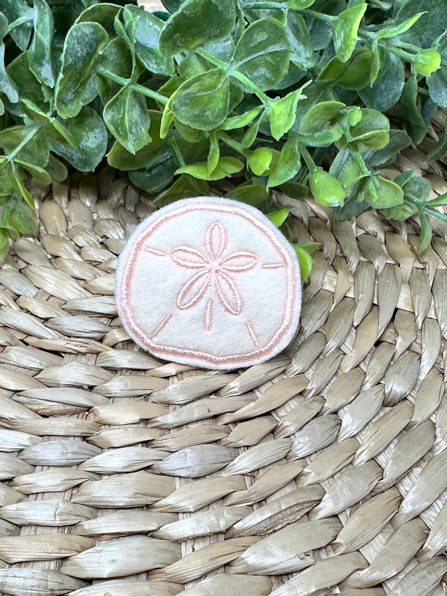 Sand Dollar
