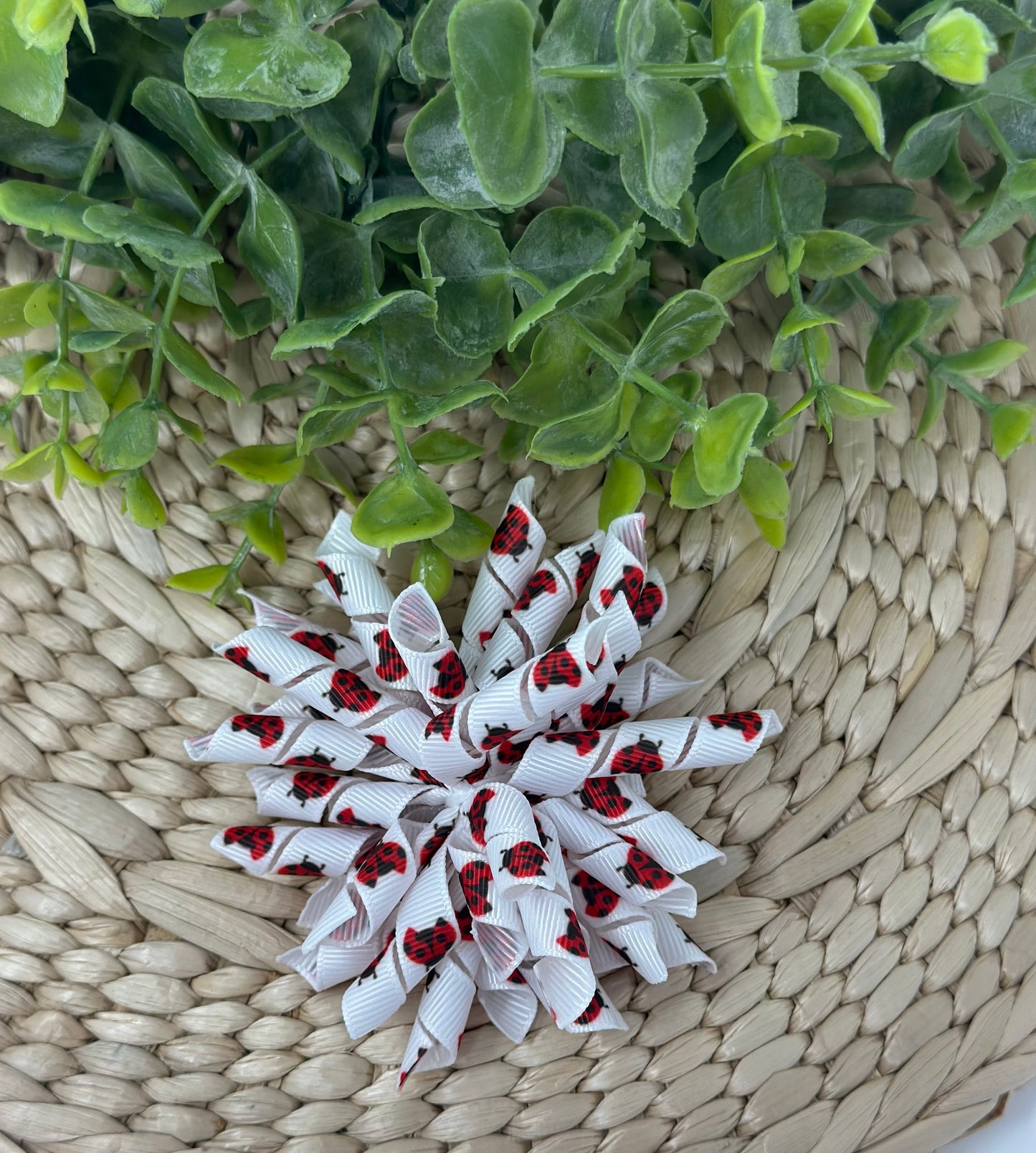 Ladybugs