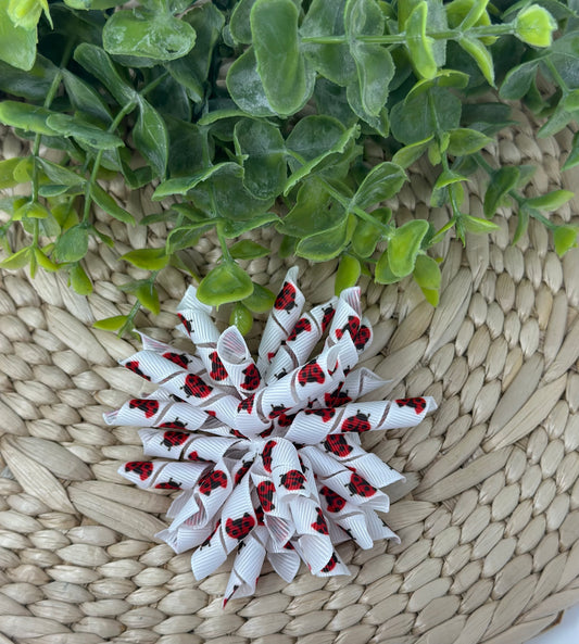 Ladybugs